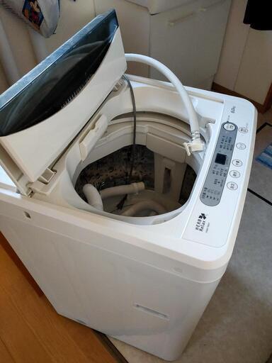 洗濯機 ハーブリラックス YWM-T60A1