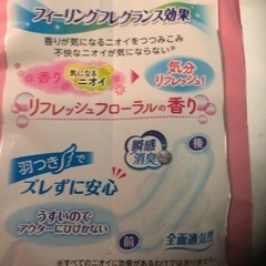 🌺さらさら素肌　　尿漏れ用？　🌺定型文不可です🙏御取り引き中と成ります🙇‍♀️の画像