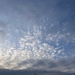 楽しみはカメラ