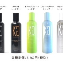 KYOGOKU カラーケアシャンプー200ml  京極の画像