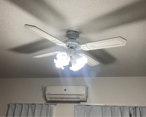 シーリングファン　ライト　電気