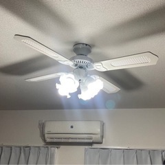 シーリングファン　ライト　電気