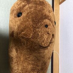 等身大かぴばらさんの画像