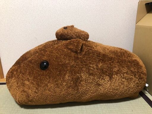 等身大かぴばらさん