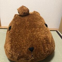 等身大かぴばらさんの画像