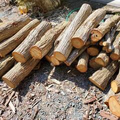 薪、炭、椎茸原木、楢木、ならの木の画像