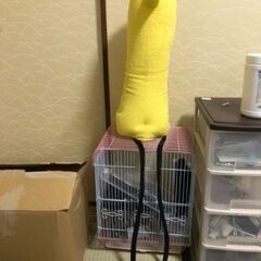 等身大プンプン