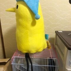 おやすみプンプンパジャマverの画像