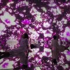 超レア♪SNSでも話題!チームラボプラネッツ★限定募集◎WEB面...