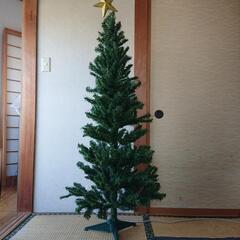 クリスマスツリーの画像