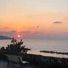芝生の上でパークヨガ🧘‍♀️🇮🇳 − 島根県