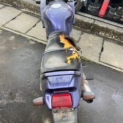 バイクの画像