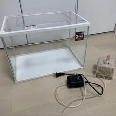 水槽　金魚