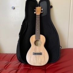 Kailua CK-150MO  マンゴー材のコンサートウクレレ 