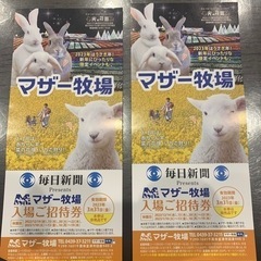 マザー牧場チケット2枚