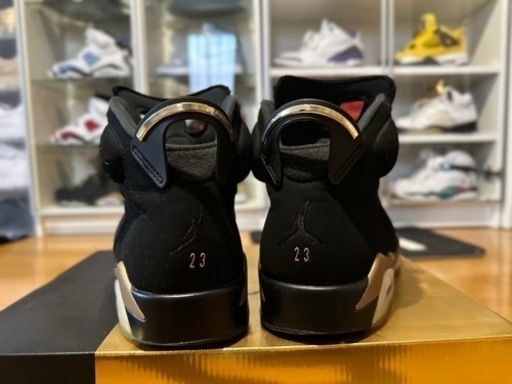 AIR JORDAN6 DMP エアジョーダン6 ゴールド　29cm