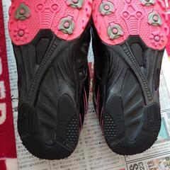 TIGONシューズの画像