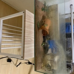 水槽です（つけてるもの全部）
