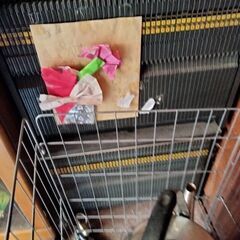 カラオケレーザーディスクプレーヤー一式の画像