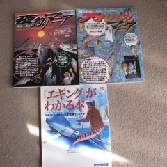 アオリイカ・夜釣りマニアとエギング