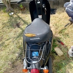 ホンダトゥデイ2  AF67 インジェクション2012モデルの画像