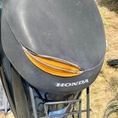 ホンダトゥデイ2  AF67 インジェクション2012モデルの画像