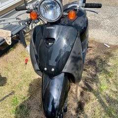 ホンダトゥデイ2  AF67 インジェクション2012モデル