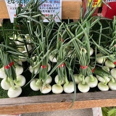 原口農場　直売所　米、野菜　販売❣️ − 佐賀県