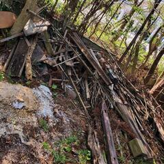 木材や朽木お譲りいたします。の画像