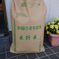 令和4年産 コシヒカリ