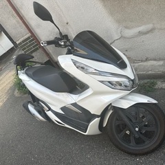 !人気大沸騰中! 即乗り ホンダ　pcx125 jf81 自賠責R7/5まで付！の画像