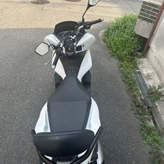 !人気大沸騰中! 即乗り ホンダ　pcx125 jf81 自賠責R7/5まで付！の画像