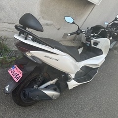 !人気大沸騰中! 即乗り ホンダ　pcx125 jf81 自賠責R7/5まで付！の画像