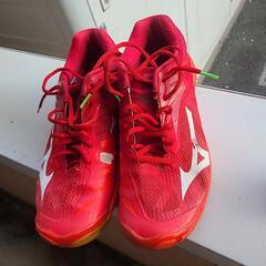 バレーボールシューズ27cmの画像