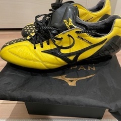 早い者勝ち ミズノ ウェーブイグニタス 国内500足限定 26cm