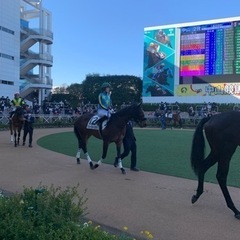 競馬でつながろう〜！ - 中野区