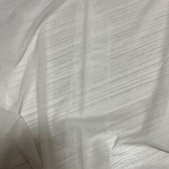 レースチュール生地の画像