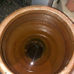 睡蓮鉢(甕？壺？) メダカ育成などにの画像