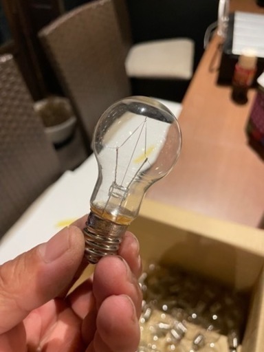 発熱球　電球❗️