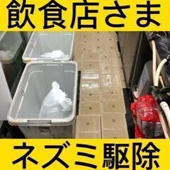 大丈夫ですか❓ゴキブリ・ネズミ・トコジラミなどの害虫駆除おまかせ下さい！ - 地元のお店