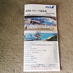 ANA全日空グループ割引券あげますの画像