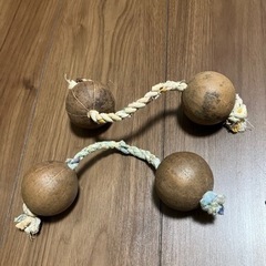アサラトの画像