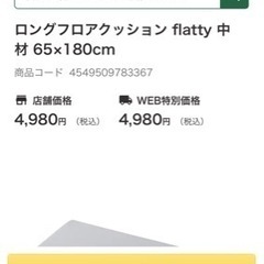 カバーとセット　ロングフロアクッション flatty 中材 65...
