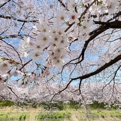⭐️趣味が合う同年代の友達⭐️