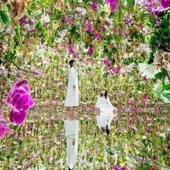 限定募集◎超レアバイト♪SNSで話題!チームラボプラネッツ★自宅...