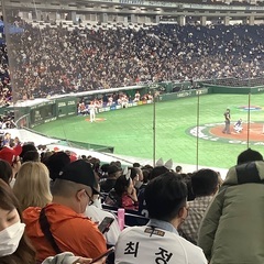 5月中旬にロサンゼルス行きたい人，いませんか