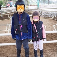 乗馬用具を探しています🐴