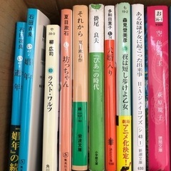 小説とかエッセイ（とにかく本）の画像