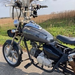 中華マグナトライク110ccの画像