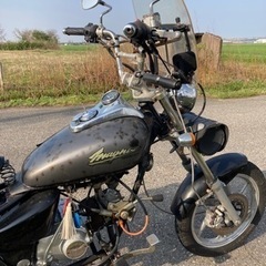 中華マグナトライク110ccの画像